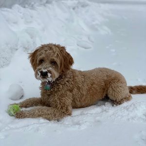 Meet your Posher, Deborah